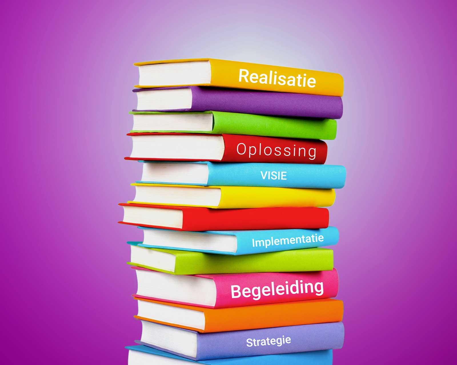 Project begeleiding en realisatie