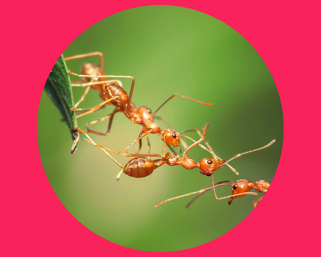 Team en kennissessies